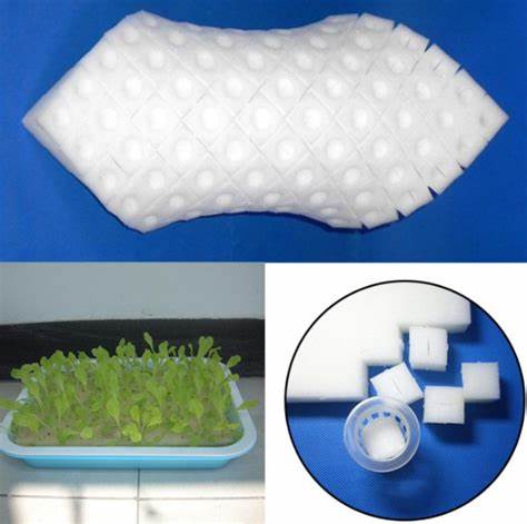 grow sponges hydroponics